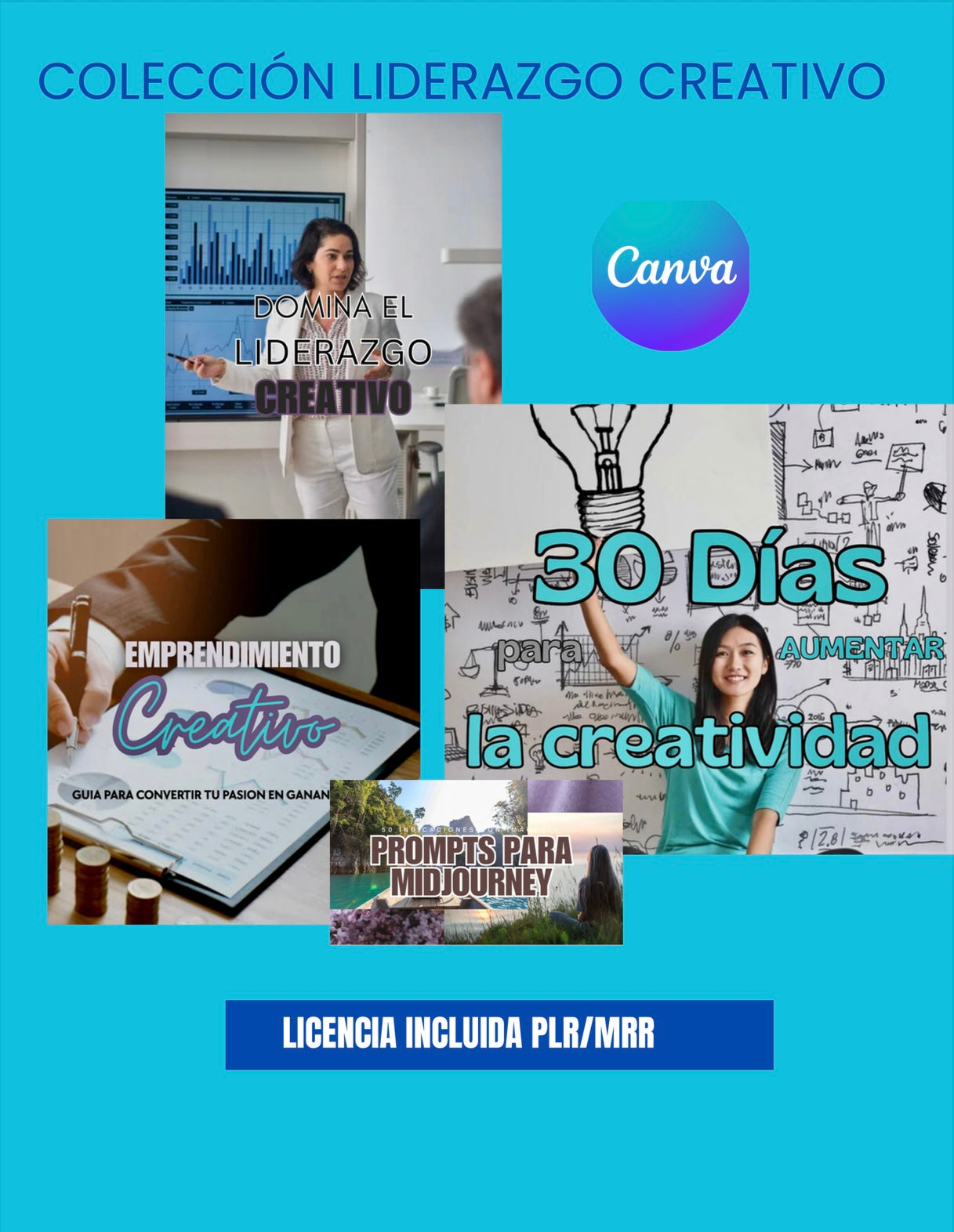 Liderazgo Innovador: Desata tu Creatividad y Potencial